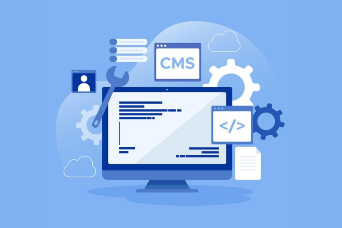 CMS Development
